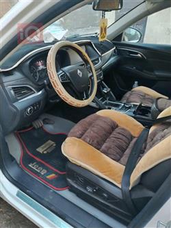 بۆرگوارد BX7